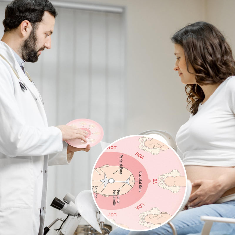 Midwife Fetal Position Tool - Small Size 5.12", Fetal Position Wheel for Midwives, Doula and Obstetricians Gifts, Childbirth Education Tool for Medical & Nursing Students