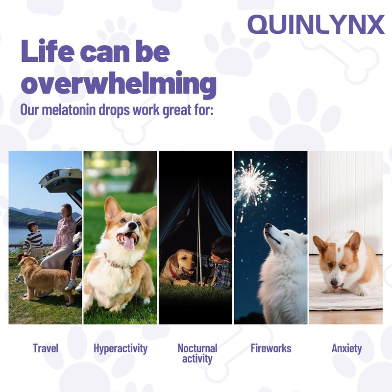 Melatonin for Dogs,Dog Sleep Aid,Calming for Dogs,Helps Restful Sleep, L-Theanine,Promotes Overall Well-Being,Multiple Vitamins,Suitable for All Dog,100% Natural 60ml