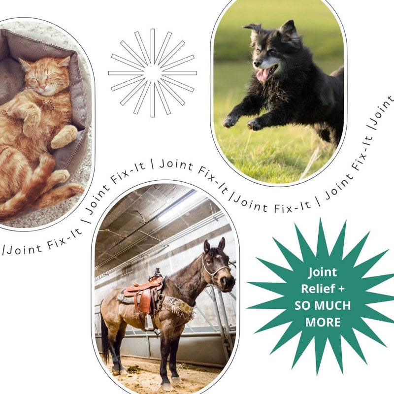 Joint Fix-It Topical Relief Gel for Animals and People, Fast-Acting Formula for Arthritis, Muscle Soreness, Bruises and Strains 8 oz
