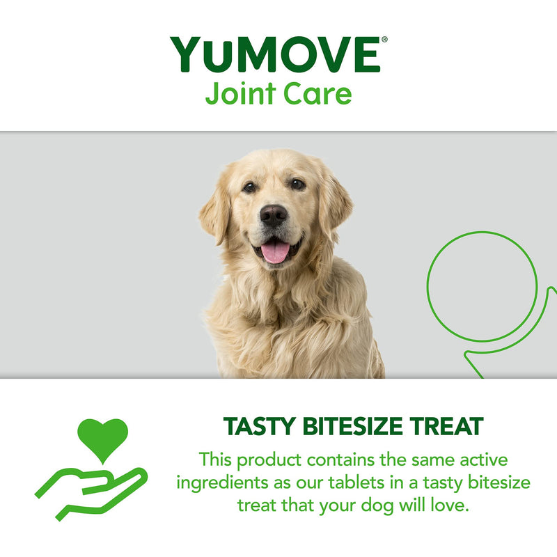 Lintbells YuMOVE Daily Bites For Senior Dogs | High Strength Hip and Joint Supplement Designed for Older, Stiff Dogs, with Glucosamine, Chondroitin, Green Lipped Mussel | Aged 9+ | 60 Chews, White 60 count - PawsPlanet Australia