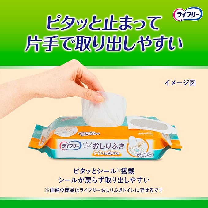 Lifeley Adult Wipes, Flushable in the Toilet, 864 Sheets (72 Sheets x 12) [Case Item] - NewNest Australia