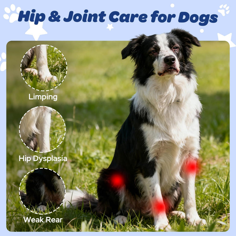 Dog Hip & Joint Supplement Chews with Glucosamine, Chondroitin & MSM – Joint Support Chews with Vitamins C & E for Dogs 120 Soft Chews