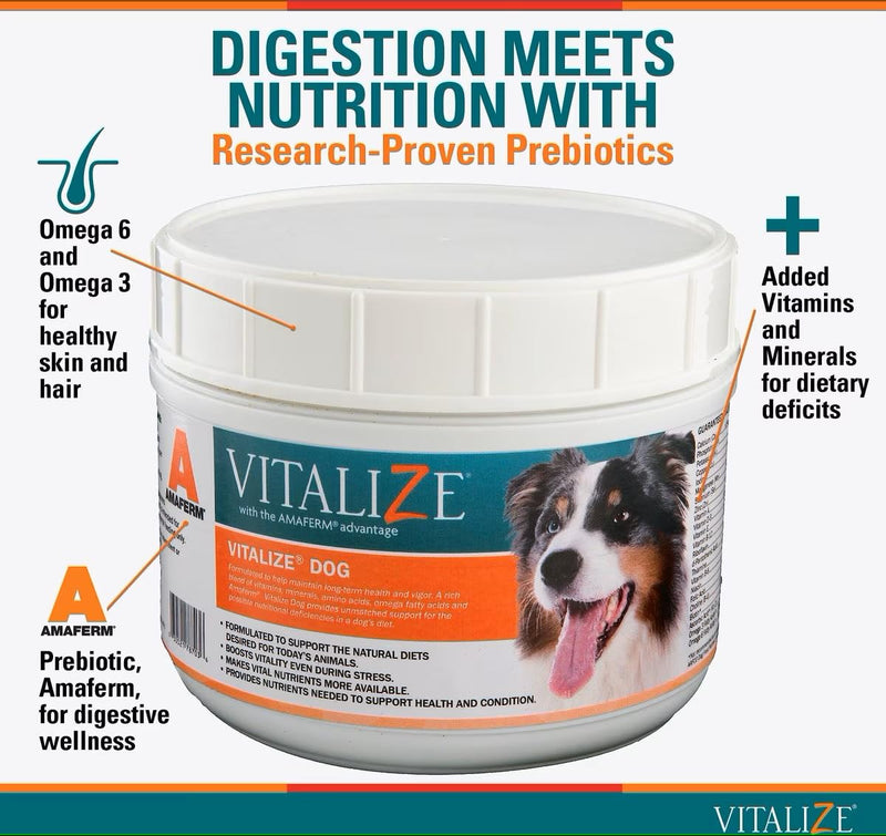 Vitalize Dog Digestive Health Powder - Relief for Constipation, Vomiting & Nausea, Skin & Coat Supplement- Multivitamin Powder with Omega 6, 3 & Biotin & Dog Prenatal Supplement (1 Pound) - PawsPlanet Australia