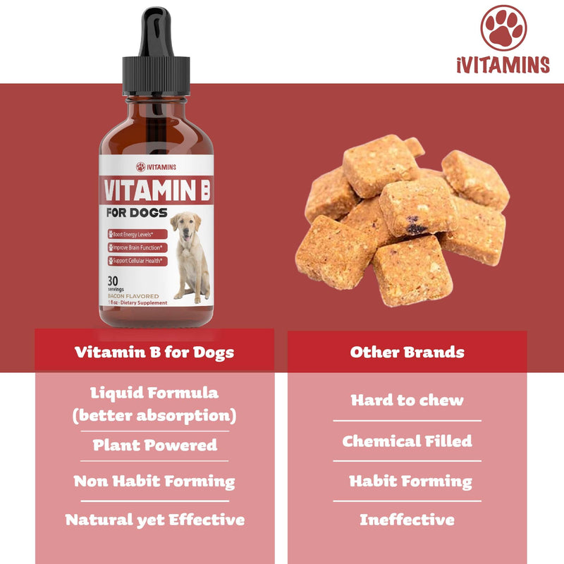 Vitamin B for Dogs | Vitamin B Complex for Dogs | Vitamin B12 for Dogs | Dog Vitamins | B12 Vitamins for Dogs | Vitamin B Dog Supplements | B Complex for Dogs | B12 for Dogs | Do1 fl oz: Bacon Flavor - PawsPlanet Australia