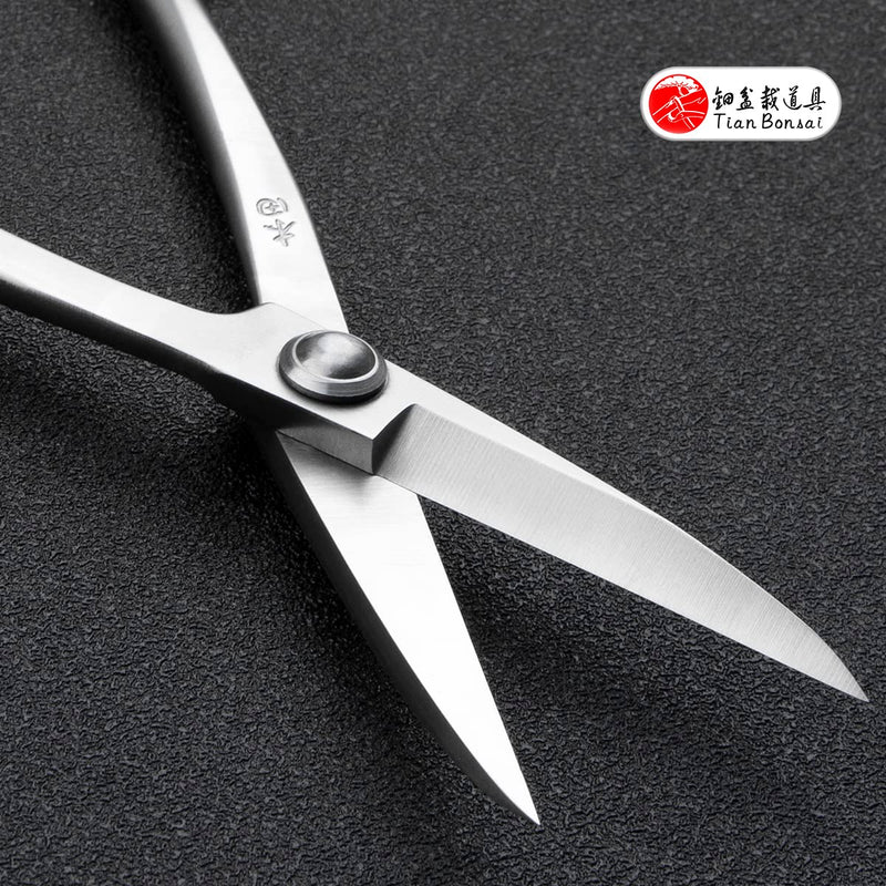 Bonsai Scissors Professional Grade Bonsai Shears Alloy Steel Bonsai Tools Equip With Tool Bag (MT-LBS-210) MT-LBS-210