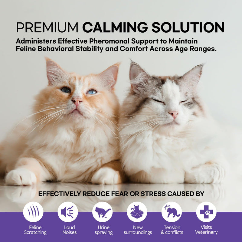 Cat Pheromones Calming Diffuser: Premium Cat Calming Diffuser - cat Calming pheromone Diffuser - cat pheromone Diffuser - cat Diffuser Calming - pheromone Diffuser to Calm Cats, 2 Pack - PawsPlanet Australia
