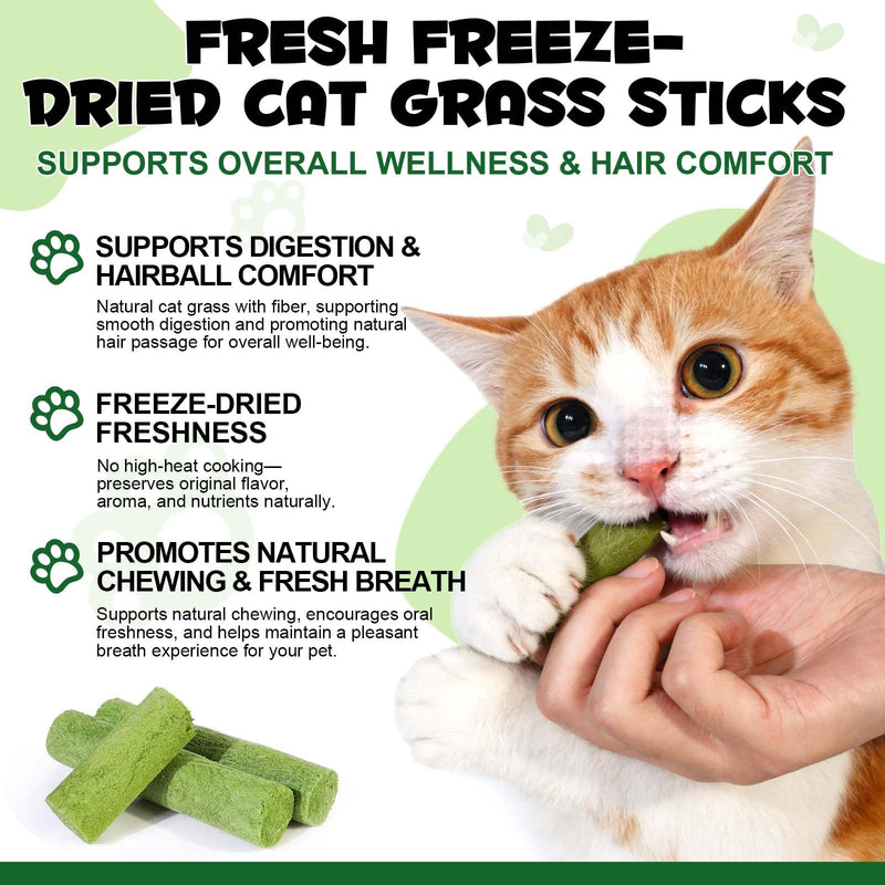 Cat Grass Treats & Cat Dental Treats for Indoor Cats, Made with Feline Grass & Chicken Breast, Healthy Temptation Cats Treat for Training, Snacking & Dental Care, Natural Kitten & Adult Kitty Biscuits
