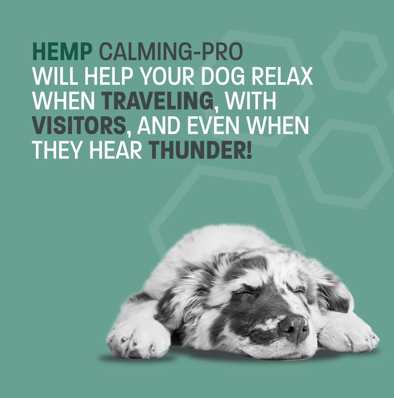 Hemp Calming Chews for Dogs Anxiety - Hemp Dog Treats for Calming - Soft Chews for Stress, Anxiety, Thunderstorms, & Hyperactivity - Dog Calming Chews - Anxiety Relief Treats - 60 ct