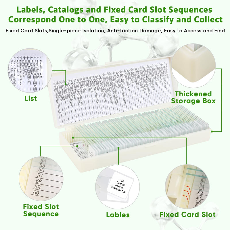 60 Microscope Slides with Specimens,Prepared Microscope Slides for Kids,Glass Slides for Microscope,Prepared Slides for Kids Microscope,Microscope Slide Preparation Kit for Biology Science Classes 60 pcs