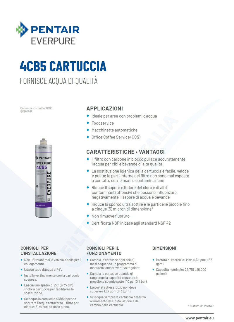 Everpure EV961716 4CB5 Cartridge