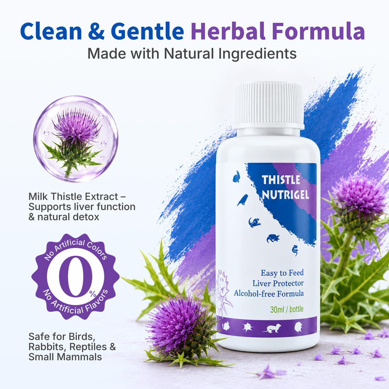 Milk Thistle for Birds, Tortoises & Rabbits – Natural Liver Support Supplement, Supports Detox & Healthy Liver Function