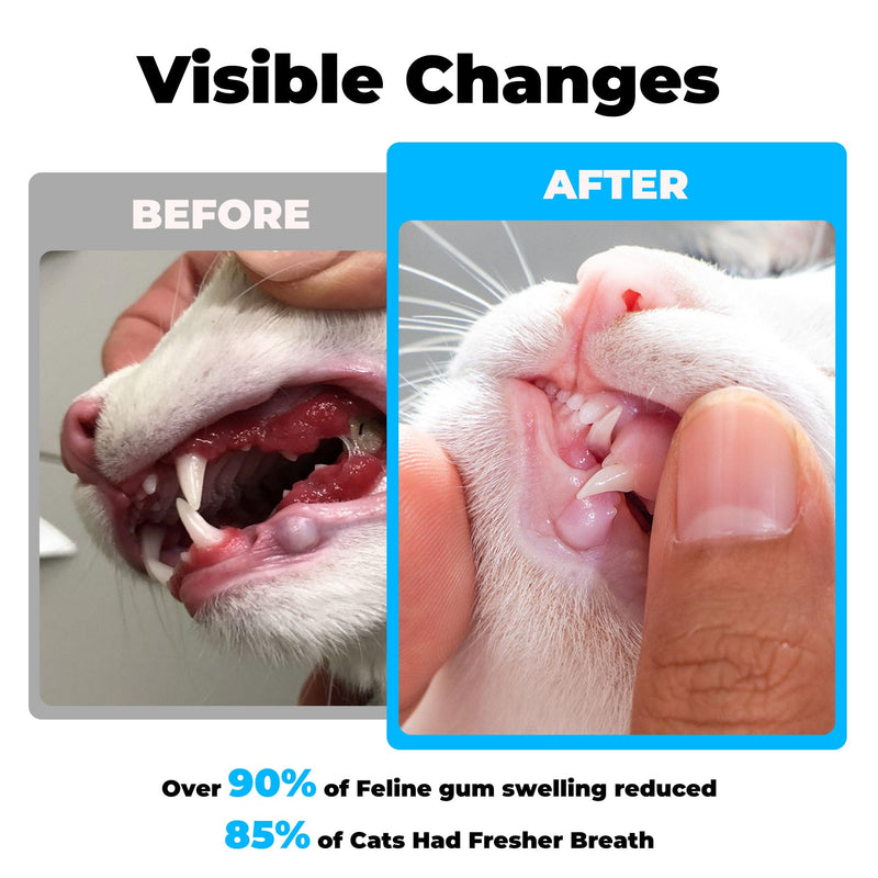 Cat Dental Care - gingivitis Treatment - Relieves Bad Breath, Supports Teeth, Gums, Mouth & Digestion, Removes Plaque, Controls Tartar, Promotes Cat Mouth Health, Natural Extracts, 2.11 oz Powder