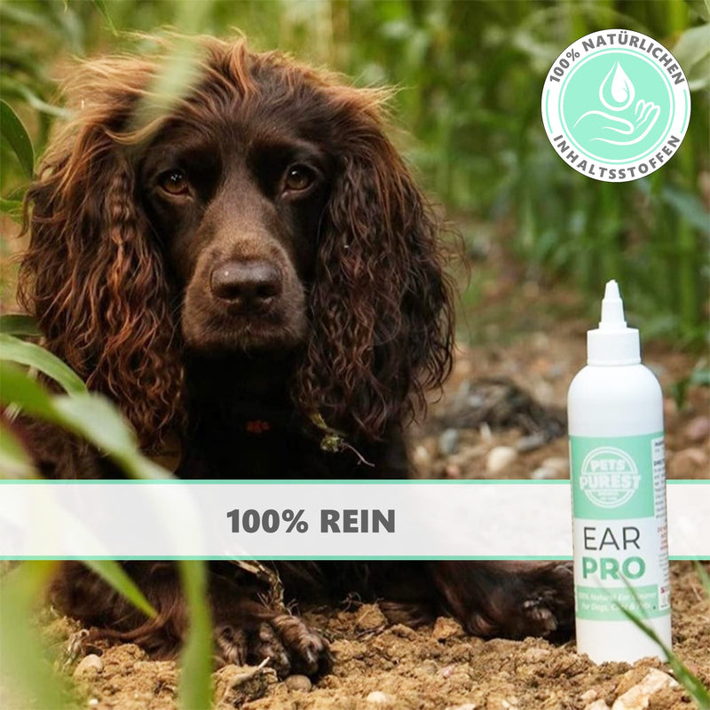 Pets Purest Ear Cleaner for Dogs 250ml - Recommended by Veterinarians in the UK - Dog Ear Cleaner for Head Shaking, Itching and Smelly Earwax - 100% Natural Ear Cleaner - PawsPlanet Australia