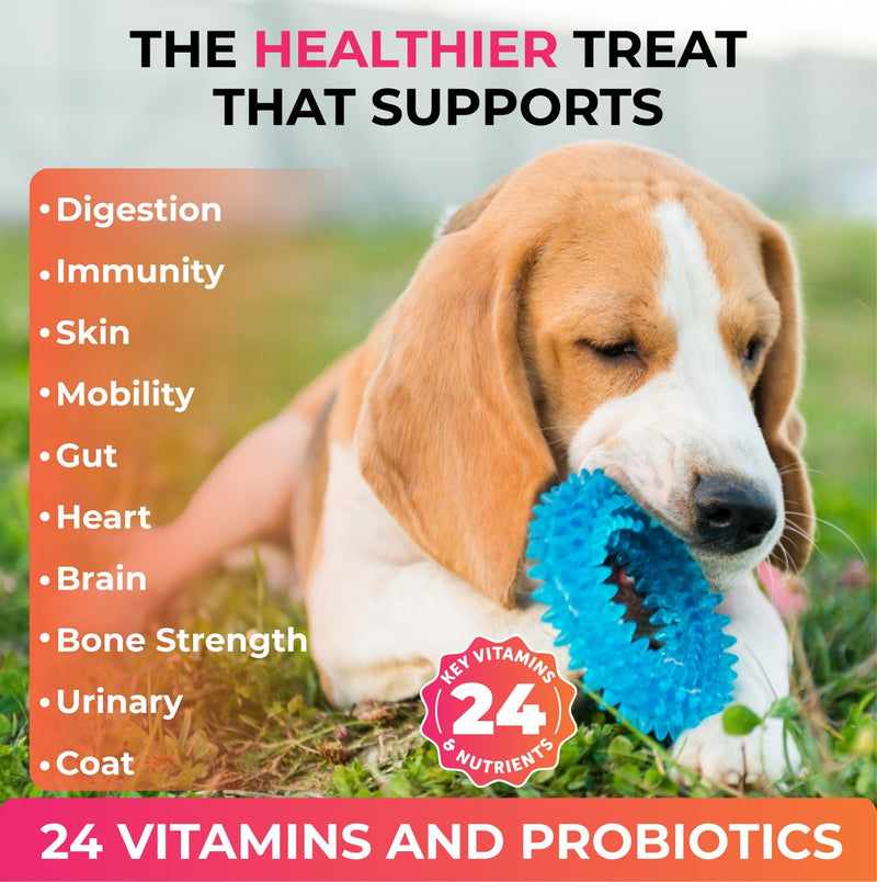 Caspi 10-in-1 Dog Multivitamin with Probiotics – Joint Health, Itching & Skin Relief, Omega-3 Salmon Oil, Glucosamine, Vitamins & Minerals – Daily Chew Supplement for Dogs – 160 Soft Chews