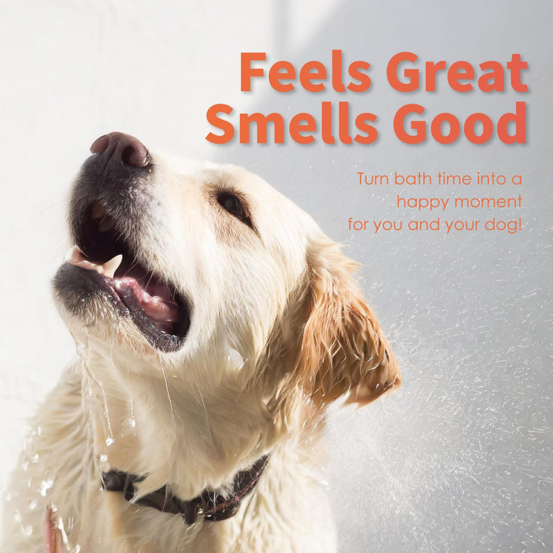 Arf Arf Dog Shampoo Itch Relief, Allay Itch & Irritation Oatmeal Formula 16oz, Anti-Itch for Allergies, Honey-Infused, Pet-Friendly, Ideal for Sensitive Skin Anti-itch Shampoo - PawsPlanet Australia