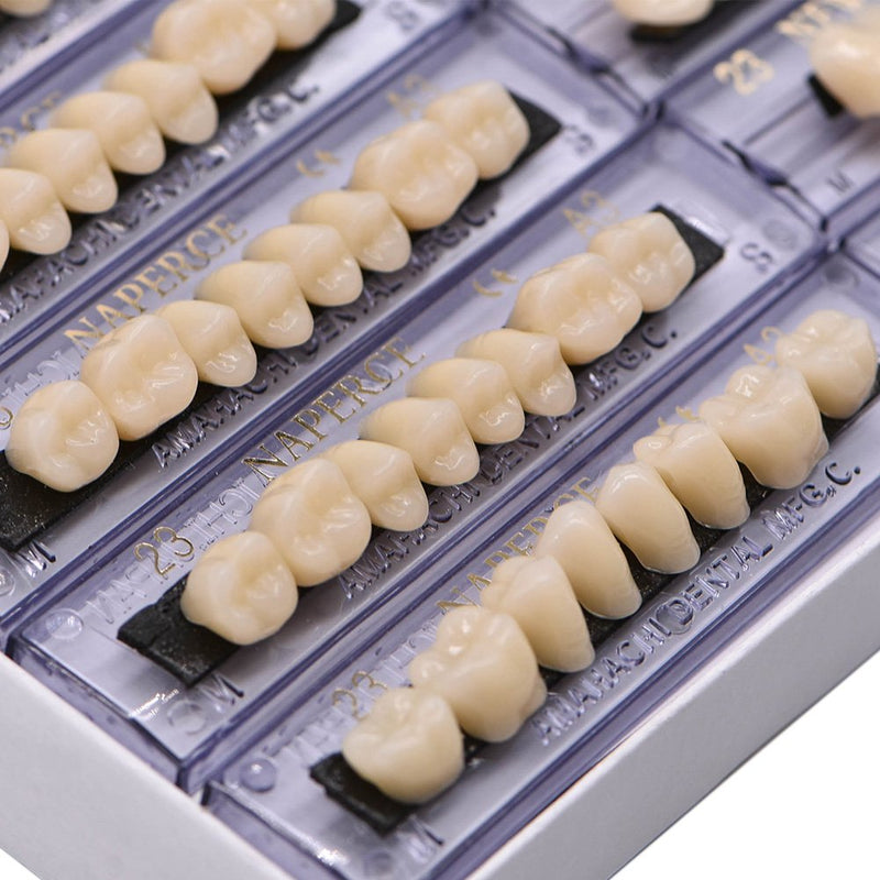 Angzhili Dental Synthetic Acrylic Resin False Teeth for Halloween Horror Teeth Denture Teeth Sets Shade A3 Upper And Lower Acrylic Teeth Sets(168pcs)