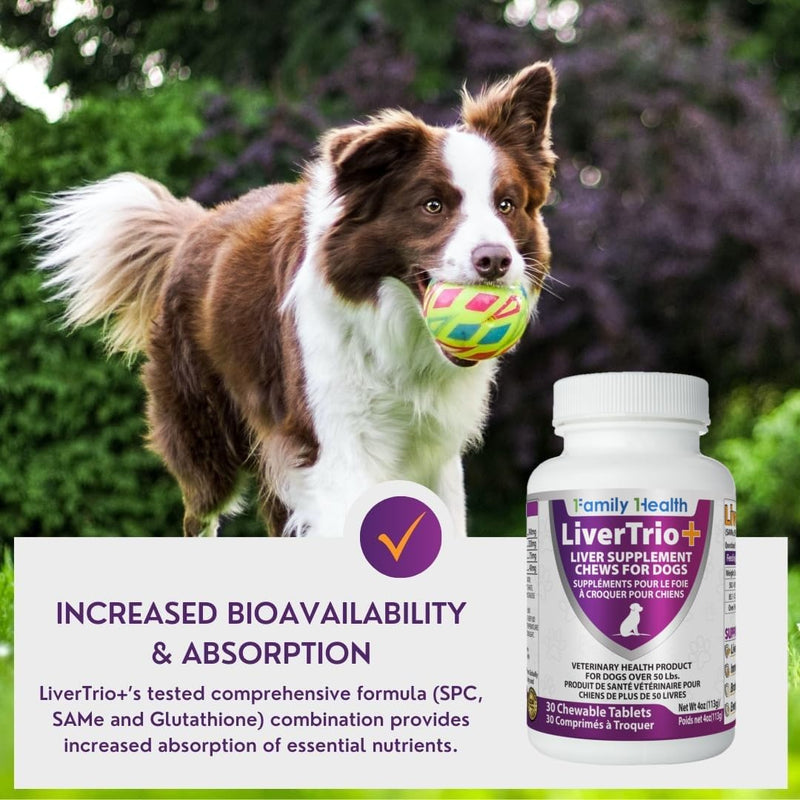 Comprehensive Liver Support Supplement for Smaller Dogs. Flavorful Chewable Tablets Combining Same, SPC, Silybin A+B, + Glutathione 30Ct (Small - Medium) Small - Medium (1 Pack)