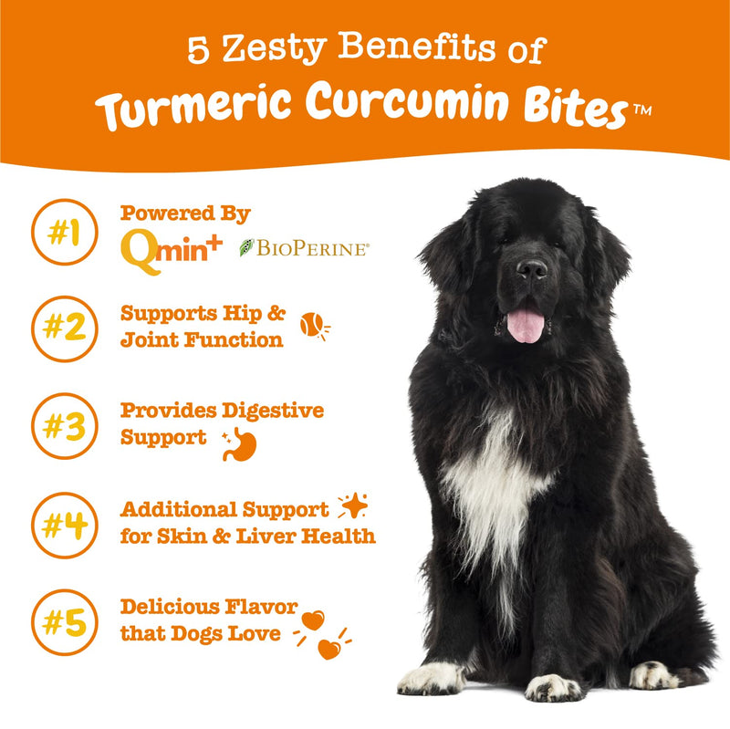 Zesty Paws Turmeric Curcumin for Dogs - for Hip & Joint Mobility Supports Canine Digestive Cardiovascular & Liver Health - Coconut Oil for Skin Health with 95% Curcuminoids + BioPerine Bacon, 90 Count 90 Count (Pack of 1)