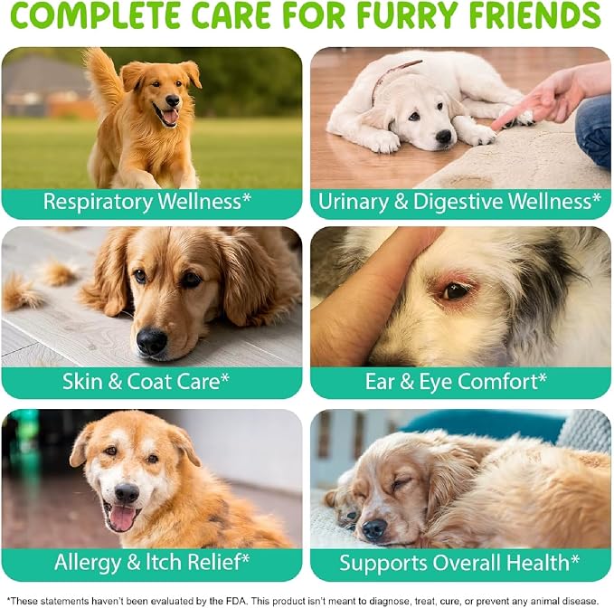 Dogs Antibiotics for Infection Coughs, UTIs, Allergies, Itching - Natural Antibiotics Supplement Drops for Cats to Support Digestion and Urination | Skin & Coat | All Breeds & Ages | 2 Oz