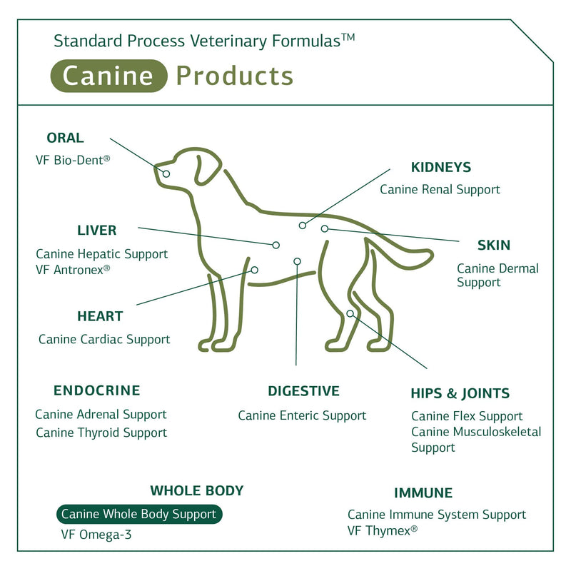 Standard Process Canine Whole Body Support - Multisystem Support Supplement for Canines - Nutritional Powder Supplement for Daily Health Maintenance - Multisystem Supplement Formula - 25 g 25 Grams (Pack of 1) - PawsPlanet Australia