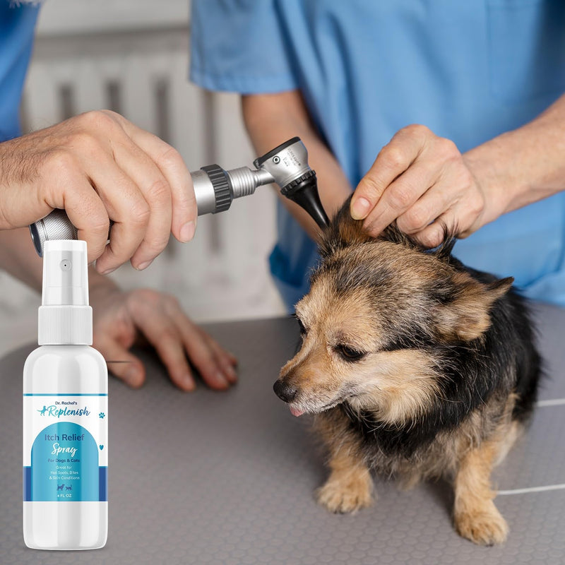 Replenish Dog Hot Spot Spray for Pets - Dr. Rachel's Hydrocortisone and Pramoxine Formula for Dog Hot Spot Remedy, Insect Bites, and Skin Conditions in Dogs, Cats, and Horses - 4 oz - PawsPlanet Australia