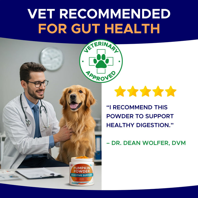 Pumpkin Powder for Dogs - High Fiber for Dogs Stool Softener - Treat Diarrhea, Constipation, Upset Stomach, Food Sensitivity - Made in USA - 7.4 oz Oragnic Pumpkin