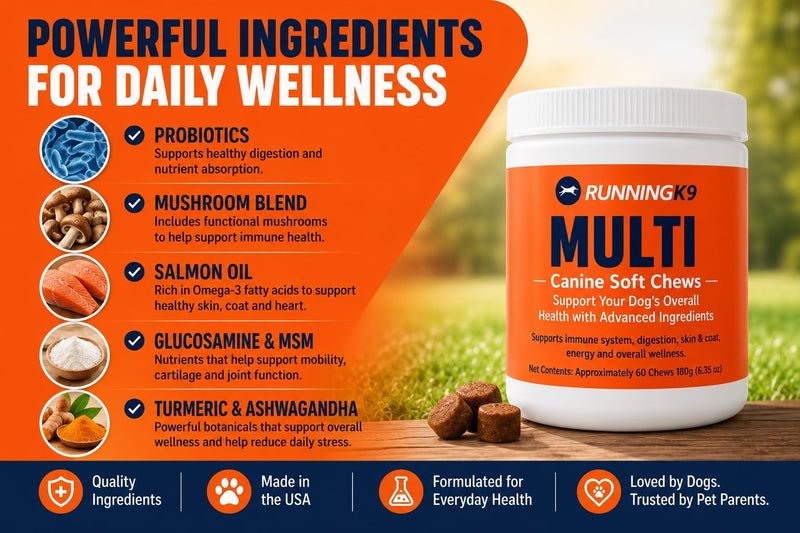 Complete Multi Canine Soft Chews – Dog Multivitamin with Probiotics, Mushrooms, Salmon Oil, Glucosamine & MSM – Immune, Digestive, Skin & Coat Support – 60 Soft Chews