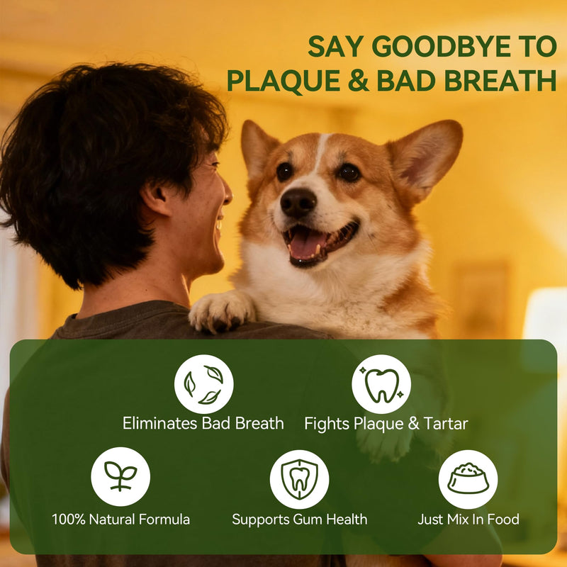 Dog Dental Powder for Plaque and Tartar Support - No Brushing Teeth Cleaning Powder with Probiotics & Natural Kelp | Fresh Breath Dog Oral Care for All Breeds | 1.76oz (50g) 1.76 oz