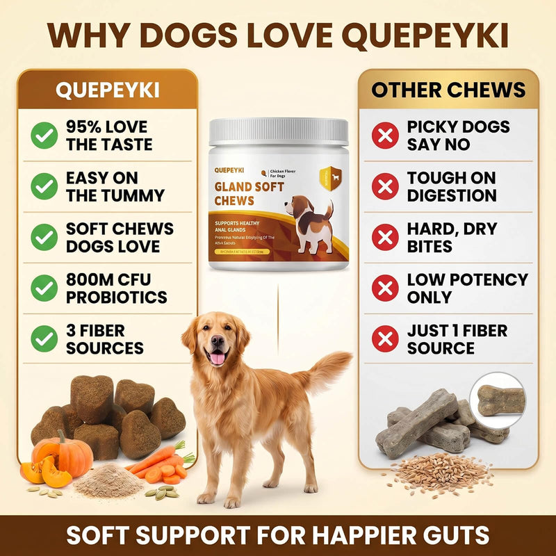 Anal Gland Supplement for Dogs, 800M CFU Probiotics & Fiber Soft Chews with Pumpkin Seed, Psyllium Husk & Inulin for Stool Consistency, Daily Digestive Health Support, Chicken Flavor, 90 Ct