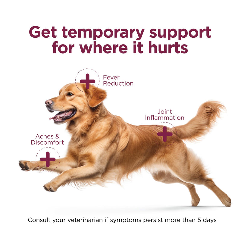 Vetality Canine Aspirin for Dogs | Fast Pain Relief | Large to X-Large Dogs | Liver Flavor | 120 Chewable Tablets No Color