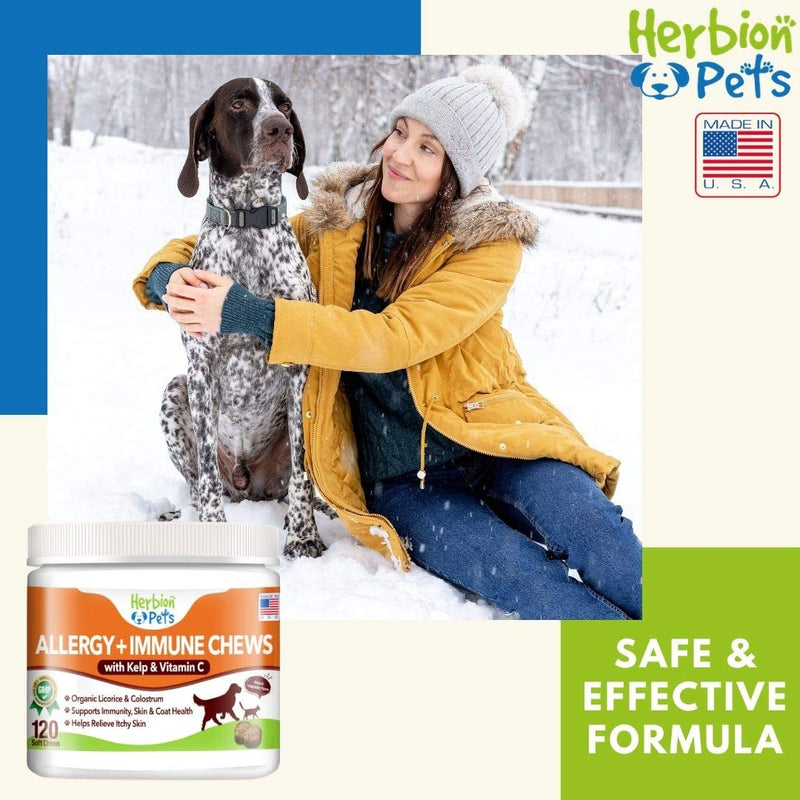 Herbion Pets Allergy + Immune Chews with Kelp & Vitamin C, 120 Soft Chews - Supports Immunity, Skin and Coat Health - Relieves Itchy Skin - Made in USA - Natural Vegetable Flavor - for Dogs 12 Weeks+ - PawsPlanet Australia