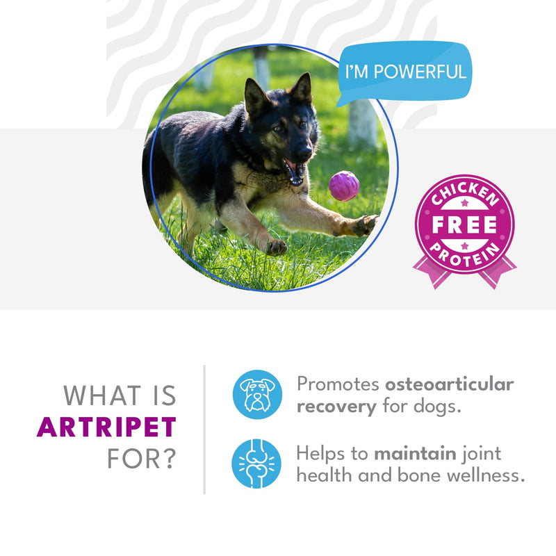 Artripet Joint Support Supplement with Natural Ingredients - Chondroitin, Glucosamine, Hydrolyzed Collagen - Chicken Flavor for Dog Bone and Wellness Enhancement