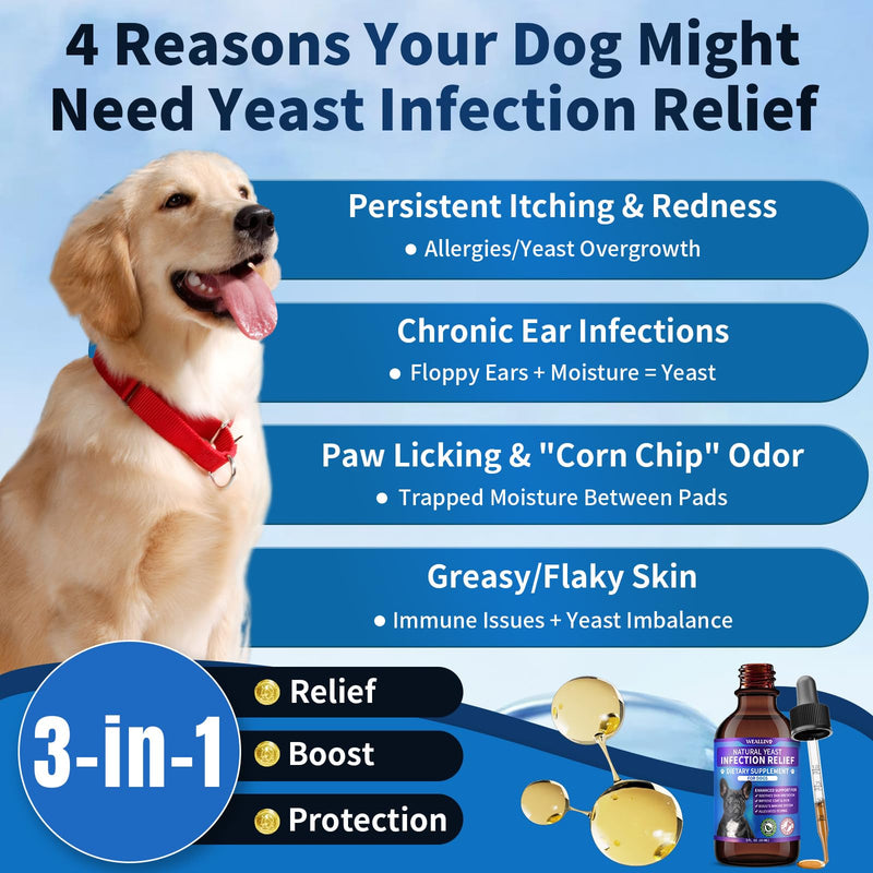 Natural Yeast Infection Treatment for Dogs | Probiotic-Powered Drops with 8-Herbal Blend | Supports Skin, Ears, Allergy Relief | Dog Yeast Infection Treatment Oral Supplement | Bacon-Flavored-2PC 4 FL OZ