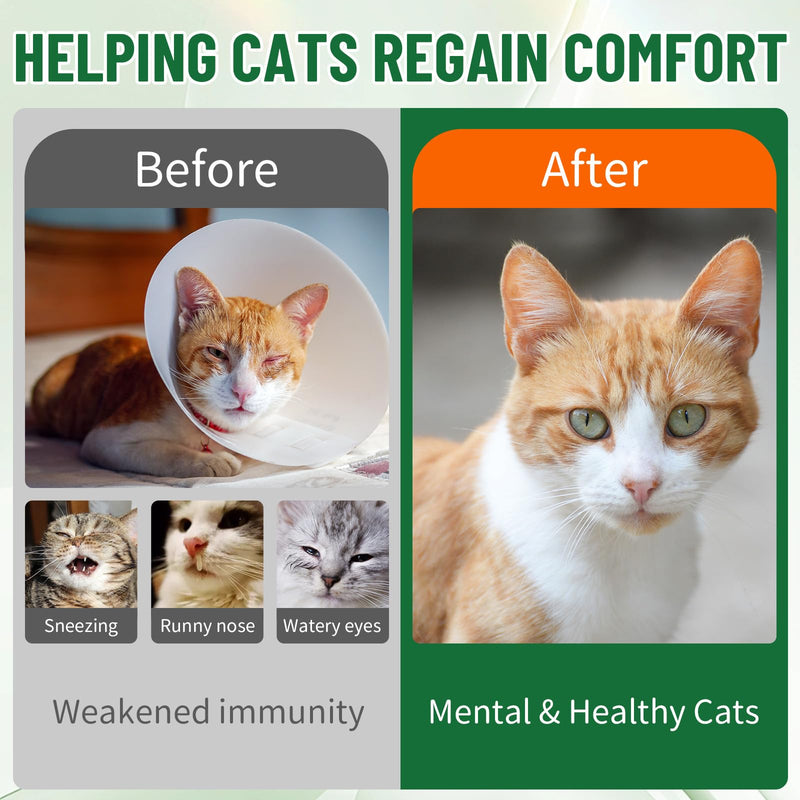 Cat Lysine & Skin Support Bundle, Liquid Lysine for Cats & Natural Soft Chews, Immune, Respiratory & Skin Wellness, Chicken Flavor, 60 ml Drops + 200 Chews
