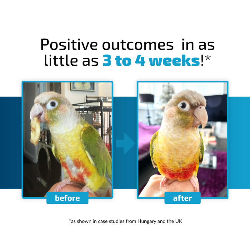 Calming Support for Small Parrots, Bird Calming Capsule, Soothes Plucking, Biting, & Screaming, Promotes Healthy Mood & Balanced Behavior - Natural & Safe for Birds 12.5oz or Less 30 Capsule