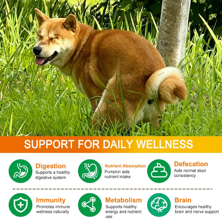 Pumpkin for Dogs & Cats,Fiber Supplement with Apple, Sweet Potato & Enzymes,Supports Digestion Health,Stool & Gut Health,Add Water to Make Pumpkin Puree for Dogs