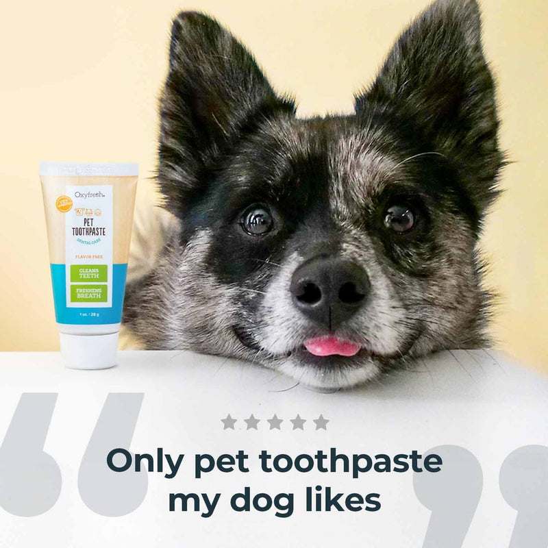 Oxyfresh Cat & Dog Toothpaste, Teeth Cleaning Gel for Plaque, Tartar & Bad Breath, Vet-Approved Pet Dental Care, 1 oz Try Me | 1oz