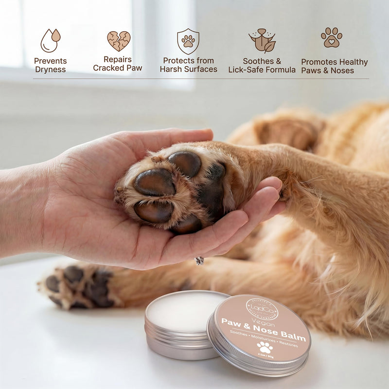 All in One Natural Vegan Dog Paw and Nose Balm, Winter and Summer Paw Protection from Snow, Ice, Salt and Hot Pavement, Moisturizes and Repairs Dry, Cracked Paws, Lick Safe, 2.0 oz,