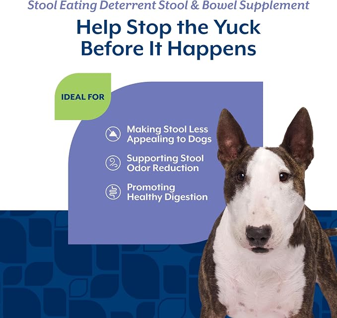 NaturVet – Coprophagia Stool Eating Deterrent Plus Breath Aid – Deters Dogs from Consuming Stool – Enhanced with Breath Freshener, Enzymes & Probiotics – 70 Soft Chews