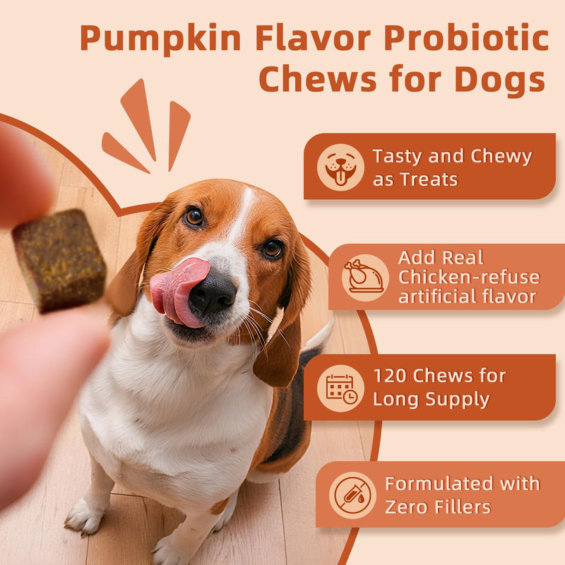 Dog Vitamins Powder & Probiotics for Dogs Soft Chews