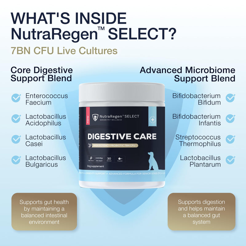 Nutraregen Digestive Dog Probiotic Powder 30 Scoops | Beef Flavored Dog Probiotics for Digestive Health, Supports Gut Health, Scratching, Itchy & Dry Skin, Allergies 2.1 Oz | 7 Bn CFU