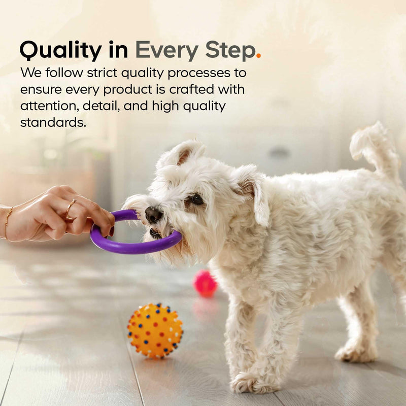 DNA PET Beef Bone Broth Powder for Dogs Supplement – Grass-Fed Beef with Canine Probiotics (Bacillus coagulans & Bacillus subtilis) - Canine Joint & Gut Wellness Support – All Breeds & Sizes – 3.17 oz