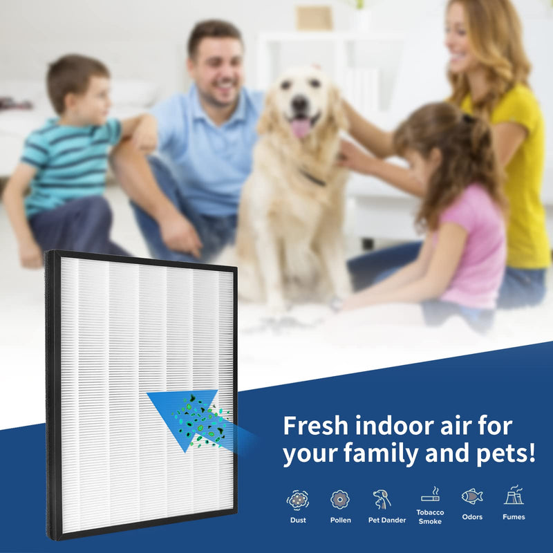 2 Packs H13 True HEPA Replacement filter Compatible with InvisiClean Claro IC-4524 Air Cleaner Purifier with Activated Carbon Pre-filter 2 HEPA +2 Pre-filters