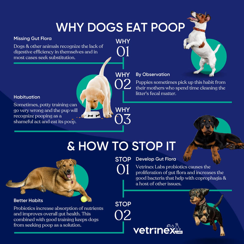 Vetrinex Labs Coprophagia Poop Eating Deterrent & Prevention, Stop & Prevent Stool Eating Treatment - Probiotics for Dogs, Cats and Puppies - Forbids Dog from Eating Poop - Probiotic Powder Original 60 gram - PawsPlanet Australia