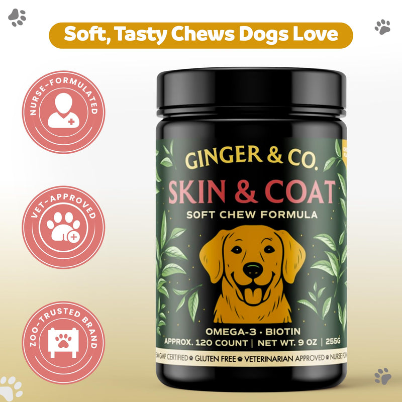 GINGER & CO. Skin & Coat Support Chews for Dogs – Omega 3 & Salmon Oil 120CT