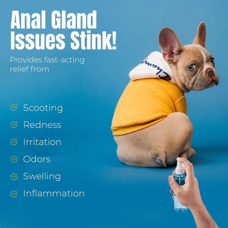 Petglow Anal Gland Medicine, Anal Cleaning for Dogs, Anal Gland Support, Pet Grooming Spray, Treats and Prevents Dog Anal Gland Infection, Feline Anal Gland Relief Hygiene Spray - 4 fl oz