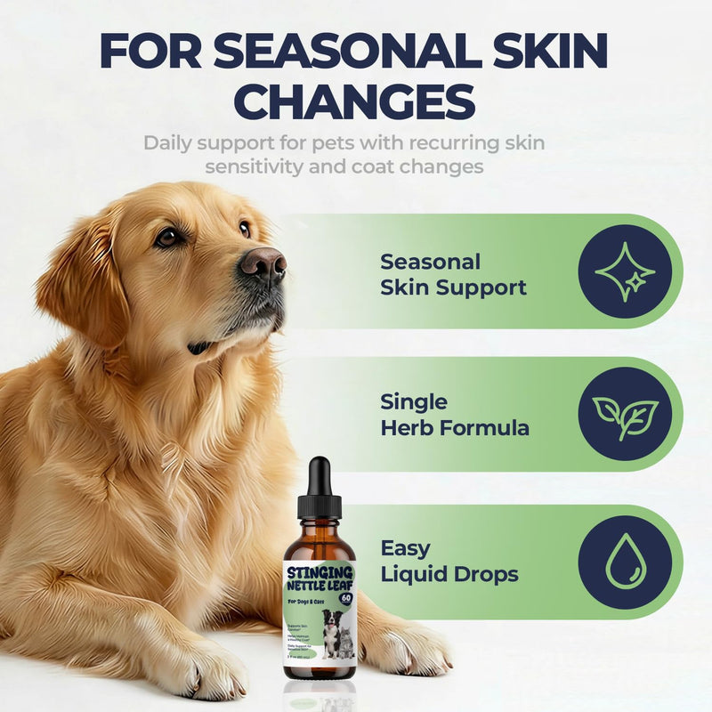 Stinging Nettle Leaf Drops for Dogs & Cats, Liquid Pet Supplement for Skin Comfort & Coat Health, Sensitive Skin Support During Seasonal Changes, Sugar & Alcohol Free Formula, 2 fl oz