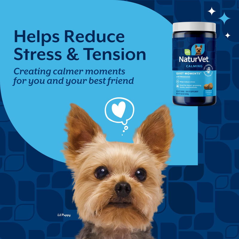 NaturVet Quiet Moments Calming Dog Supplement, Dog Soft Chews with Melatonin to Help Reduce Stress from Storms, the Vet, Fireworks, and Travel, Bacon and Chicken Flavored Pet Supplement, 240 Count Jar 240 Count (Soft Chews)