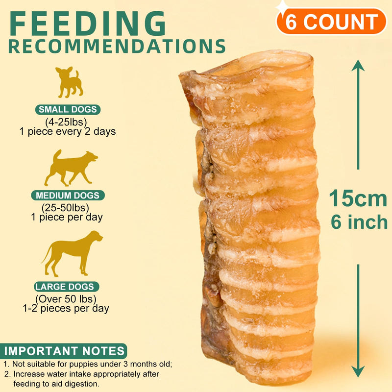 6 Inch Beef Trachea Dog Chews (6pcs - 8oz)-Trachea Dog Treats,Digestible and Safe Chews for Dogs - Natural High Protein for Medium & Large Dogs,Teeth Grinding & Cleaning, Supports Dental Health 0.33 Ounce (Pack of 6)