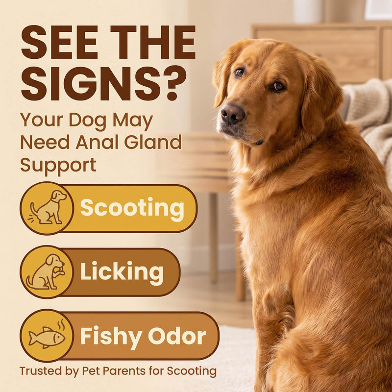 Anal Gland Supplement for Dogs, 800M CFU Probiotics & Fiber Soft Chews with Pumpkin Seed, Psyllium Husk & Inulin for Stool Consistency, Daily Digestive Health Support, Chicken Flavor, 90 Ct